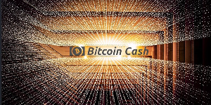Bitcoin Cash ist einer der großen Verlierer der aktuellen Studie. - Quelle: CryptoKid via Twitter