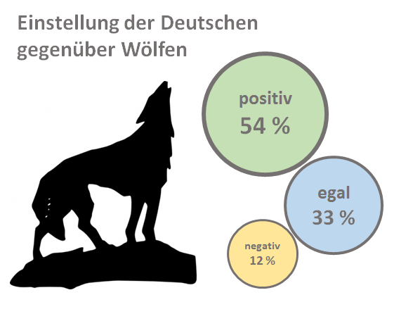 Jeder zweite Bundesbürger (54 %) verbindet mit Wölfen (sehr) positive Gefühle und Empfindungen. 33 Prozent haben weder positive noch negative Gefühle und Empfindungen gegenüber Wölfen. 12 Prozent geben an, dass ihre Gefühle und Empfindungen gegenüber Wölfen (sehr) negativ sind. Überdurchschnittlich häufig haben jüngere Bundesbürger im Alter zwischen 18 und 29 Jahren positive Gefühle und Empfindungen gegenüber Wölfen. Bundesbürger über 60 Jahren geben überdurchschnittlich häufig an, dass sie mit Wölfen negative Gefühle und Empfindungen verbinden. 
