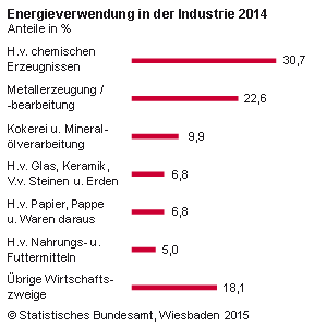 Die energieintensivsten Branchen waren im Jahr 2014 die Chemische Industrie mit einem Anteil von 31 % am Energieverbrauch, gefolgt von der Metallerzeugung und -bearbeitung mit 23 % sowie der Kokerei und Mineralölverarbeitung mit 10 %. Allerdings wurde in der Chemischen Industrie fast die Hälfte der eingesetzten Energieträger (45 %) nicht energetisch genutzt. Ausschließlich auf die energetische Verwendung bezogen, lag der Anteil bei der Metallerzeugung und -bearbeitung mit 25 % am höchsten, gefolgt von der Chemischen Industrie mit 20 % sowie der Kokerei und Mineralölverarbeitung mit 11 %. 