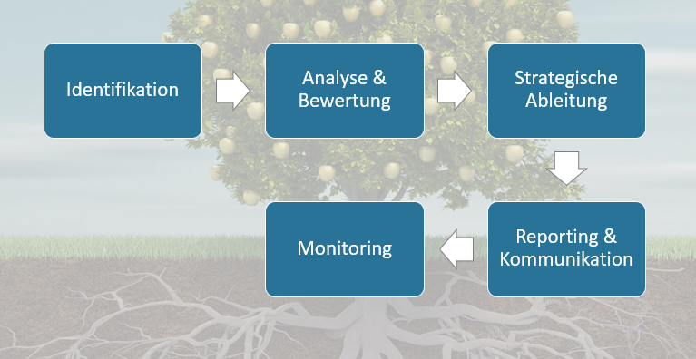 Erfolgreiche Innovationen fallen nicht vom Himmel, sondern sind oft das Ergebnis eines strukturierten Prozesses zu Beginn eines jeden Innovationsvorhabens. Ein solcher Prozess besteht aus fünf klar voneinander unterscheidbaren Phasen, in denen unternehmensrelevante Trends und Wandlungsphänomene zielgerichtet und systematisch identifiziert, aufbereitet und stetig aktualisiert werden. 